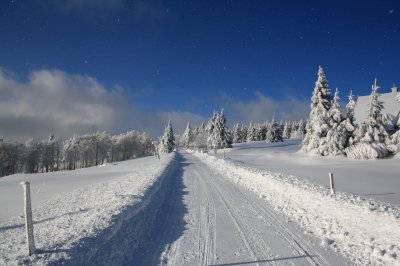 Bezecka trat pod Serlichem.jpg