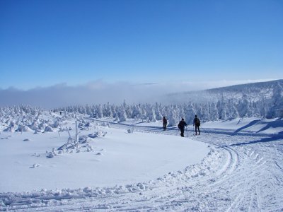 Bezecka trat_hrebenovka 2.jpg