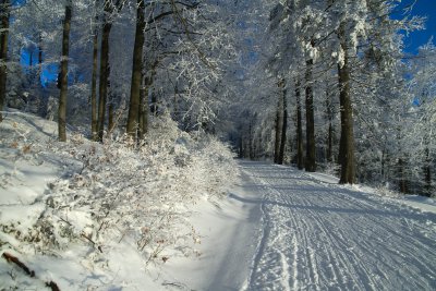 Orlice hory_foto Martin Vojta 2.jpg